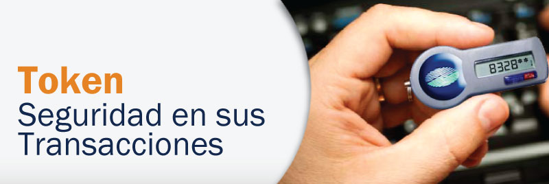 Seguridad en sus Transacciones-Token