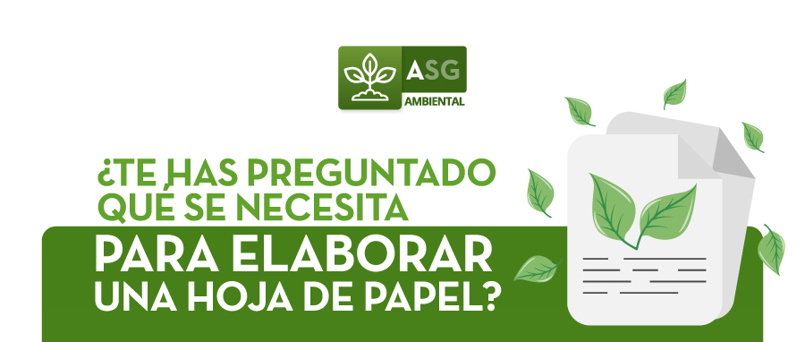 ¿TE HAS PREGUNTADO QUE SE NECESITA PARA ELABORAR UNA HOJA DE PAPEL?