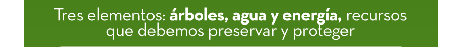 Tres elementos: árboles, agua y energía, recursos que debemos preservar y proteger