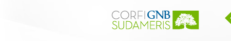 Corfignb Sudameris