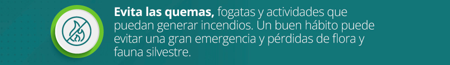 Evita las quemas, fogatas y actividades que puedan generar incendios. Un buen hábito puede evitar una gran emergencia y pérdidas de flora y fauna silvestre.