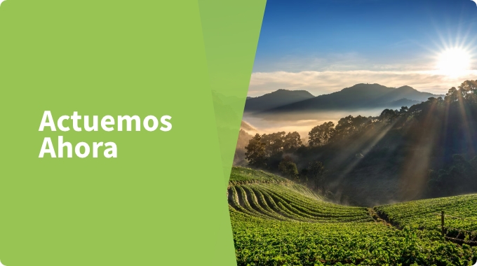 Objetivos de Desarrollo