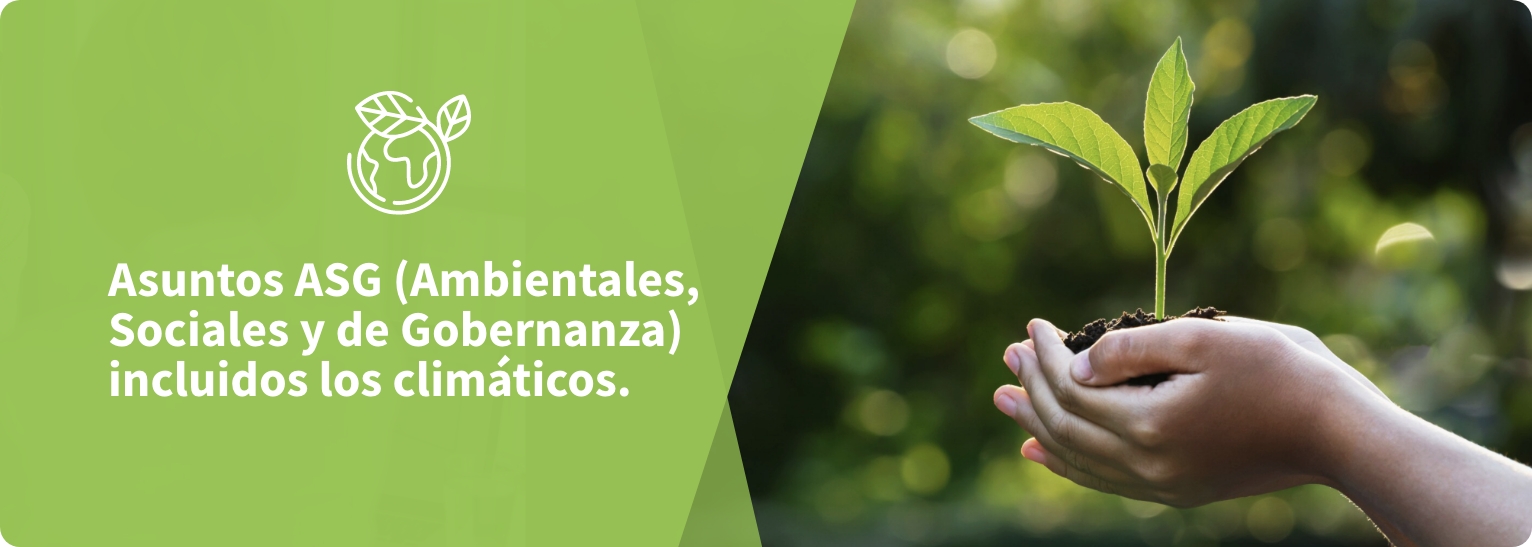 Asuntos ASG (Ambientales, Sociales y de Gobierno) incluidos los climáticos.
