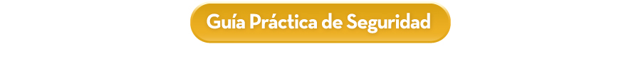 Guía Práctica de Seguridad