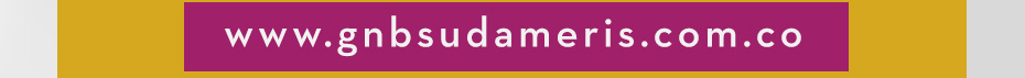 www.gnbsudameris.com.co