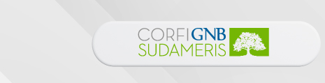 Corfi GNB Sudameris