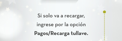 Si solo va a recargar, ingrese por la opción Pagos/Recarga tullave.