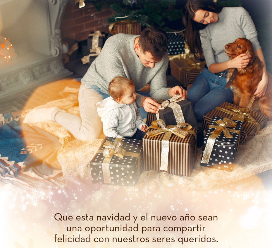Que esta navidad y el nuevo año sean una oportunidad para compartir felicidad con nuestros seres queridos.