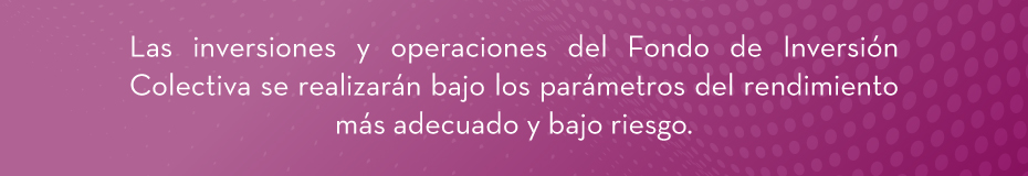Las inversiones y operaciones del Fondo de Inversión Colectiva se realizarán bajo los parámetros del rendimiento más adecuado y bajo riesgo.
