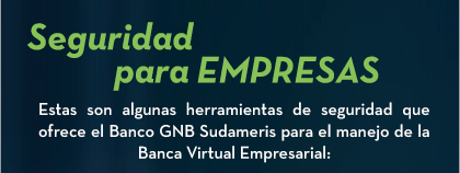 Seguridad para empresas