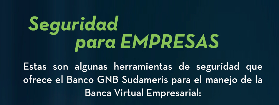 Seguridad para empresas