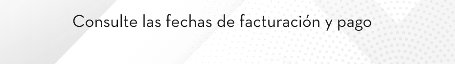 Consulte las fechas de facturación y pago