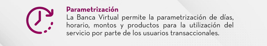 Parametrización La Banca Virtual permite la parametrización de días, horario, montos y productos para la utilización del servicio por parte de los usuarios transaccionales.