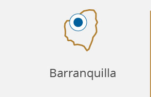 boletin