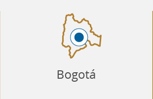 boletin