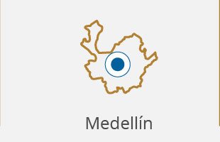 boletin