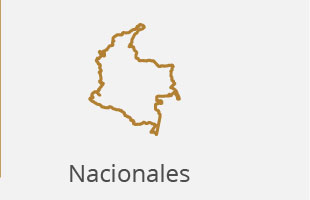 boletin