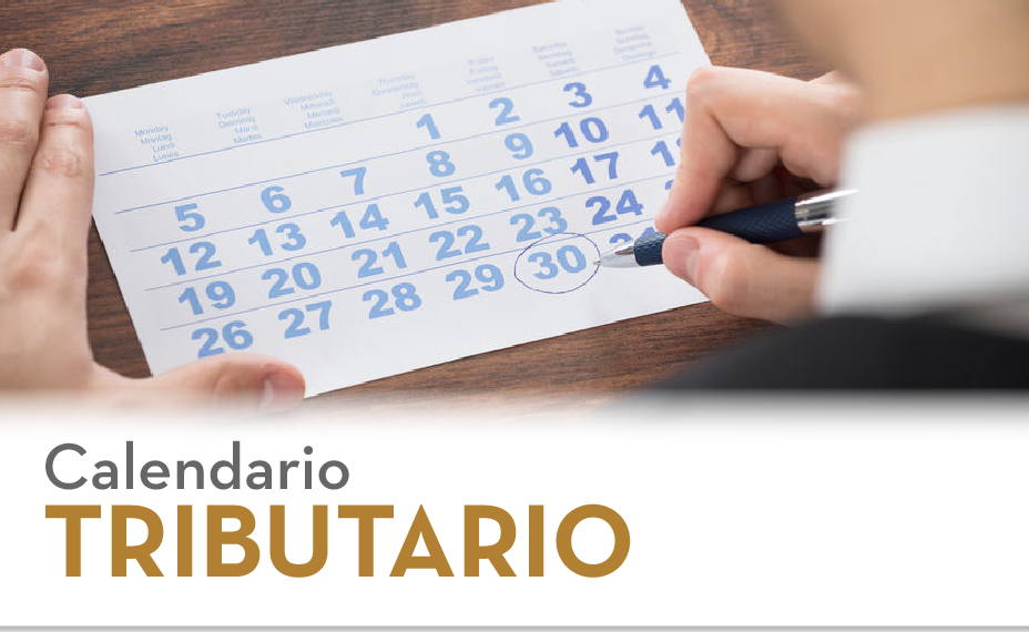 boletin