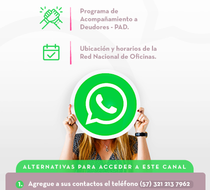 Acompañamiento a Deudores - PAD.