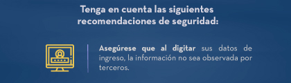 Tenga en cuenta las siguientes recomendaciones de seguridad: