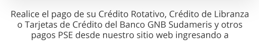 Realice el pago de su Crédito Rotativo, Crédito de Libranza o Tarjetas de Crédito del Banco GNB Sudameris y otros pagos PSE desde nuestro sitio web ingresando a 