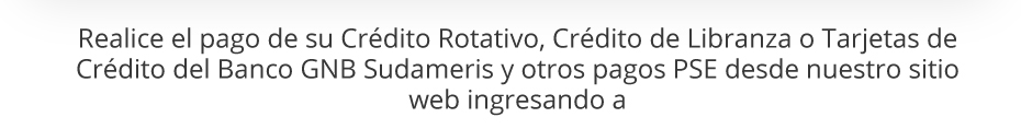 Realice el pago de su Crédito Rotativo, Crédito de Libranza o Tarjetas de Crédito del Banco GNB Sudameris y otros pagos PSE desde nuestro sitio web ingresando a 