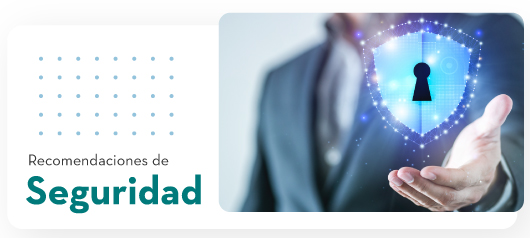 Recomendaciones de Seguridad