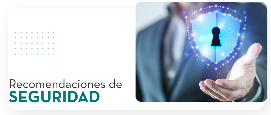 Recomendaciones de Seguridad