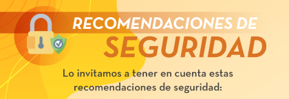 RECOMENDACIONES DE SEGURIDAD