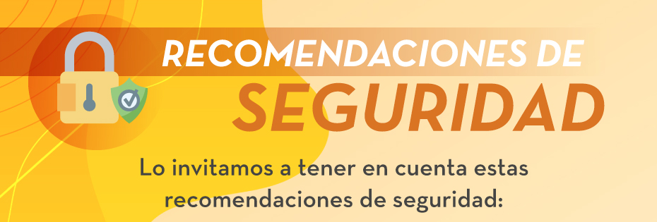 RECOMENDACIONES DE SEGURIDAD