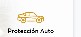 Protección Auto