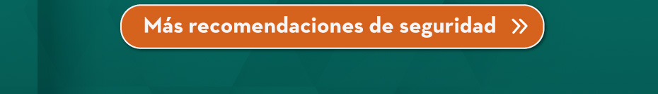Más recomendaciones de seguridad