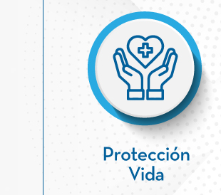 Protección Vida