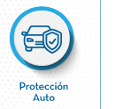 Protección Auto