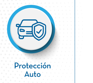 Protección Auto