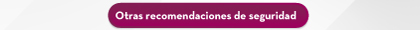 Otras recomendaciones de seguridad