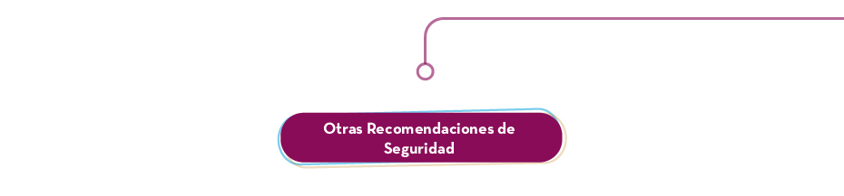 Otras Recomendaciones de Seguridad