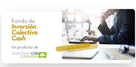 Fondo de Inversión Colectiva Cash