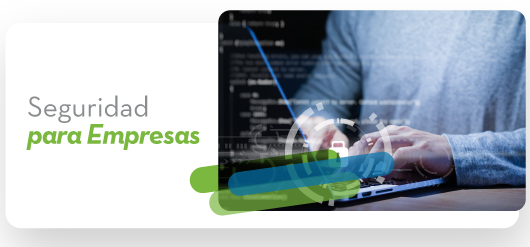 Seguridad para Empresas