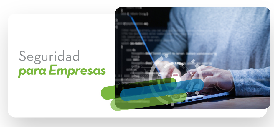 Seguridad para Empresas
