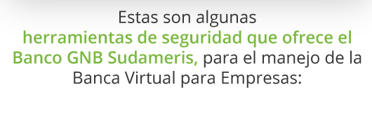 Estas son algunas herramientas de seguridad que
                             ofrece el Banco GNB Sudameris, para el manejo de la Banca Virtual para Empresas:
