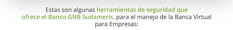 Estas son algunas herramientas de seguridad que
                             ofrece el Banco GNB Sudameris, para el manejo de la Banca Virtual para Empresas: