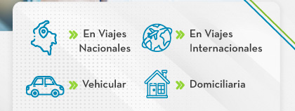 En Viajes Nacionales, En Viajes Internacionales, Vehicular, Domiciliaria