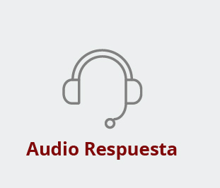 Audio Respuesta