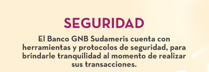 SEGURIDAD