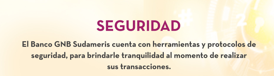SEGURIDAD