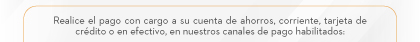 Realice el pago con cargo a su cuenta de ahorros, corriente, tarjeta de crédito o en efectivo, en nuestros canales de pago habilitados:
