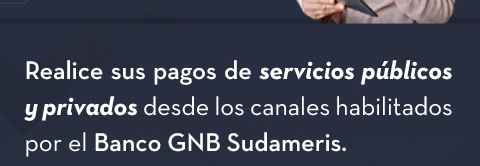 Realice sus pagos de servicios públicos y privados