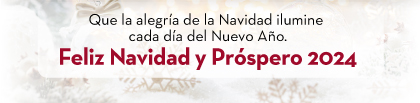 Que la alegría de la Navidad ilumine cada día del Nuevo Año. | Feliz Navidad y Próspero 2024