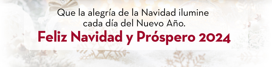 Que la alegría de la Navidad ilumine cada día del Nuevo Año. | Feliz Navidad y Próspero 2024
